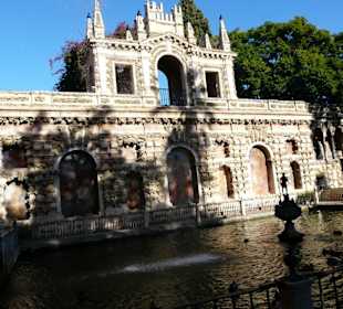 Dettaglio del giardino