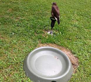 Nichts Zu trinken nichts