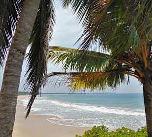 White Villa Resort Ahungalla