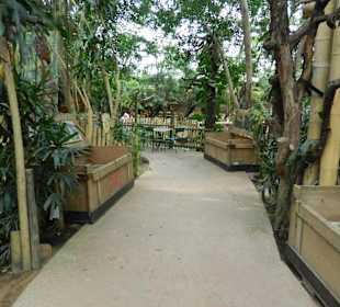 Jungle Dome