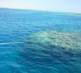 Schnorcheln im offenen Meer