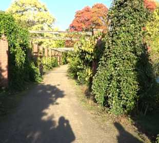 Botanischer Garten
