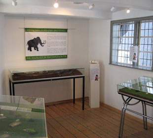 Heimatmuseum Bügeleisen-Haus