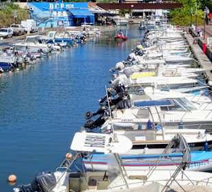 Blick über den Hafen von Saint Gilles