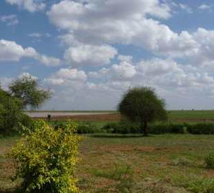 Zauberhafte Landschaft