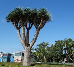 Parkplatz vor dem Park