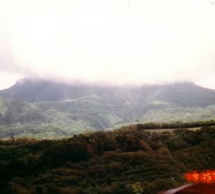 Mount Pelee