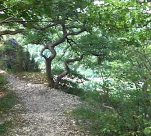 Rötelstein Traifelberg