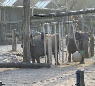 Stadtrundgang Karlsruhe