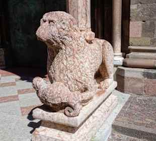 Löwe am Eingang des Bozner Domes