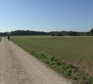 Kelten-Erlebnis-Pfad Erkenbrechtsweiler
