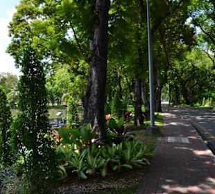 Lumphini Park