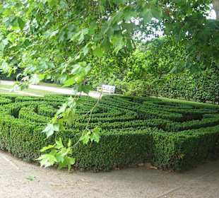 Park przy Pałacu w Nieborowie