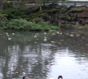 Tierpark 