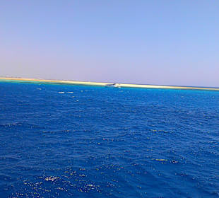 Экскурсия на остров Утопия