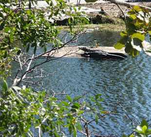 Everglades Safari Park