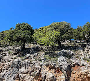 Hochebene von Lasithi