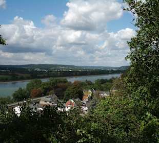 Tolle Ausblicke auf den Rhein