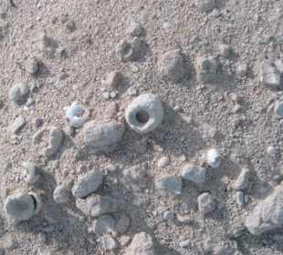 Westküste Fuerteventuras am Istmo de La Pared