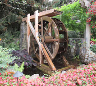 Im Butchart Garden unterwegs