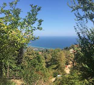 Hiking Mount Olympus