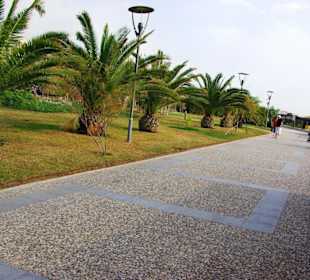 Aufgenommen vom 23.-29.11.2013