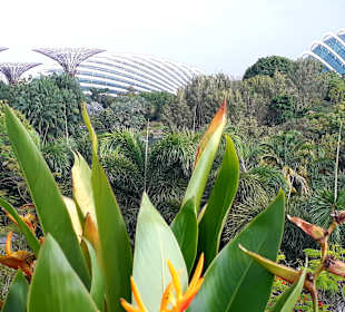 Gardens by the Bay