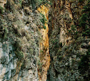 Samaria gorge