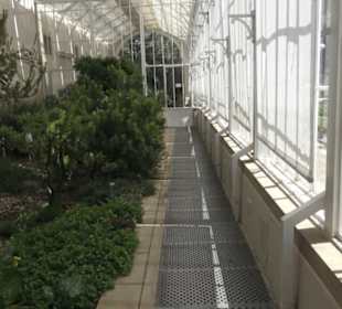 Palmenhaus