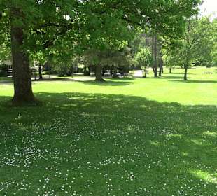 Kurpark