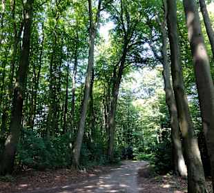 Impressionen aus dem Gesundheitspark Speckenbüttel