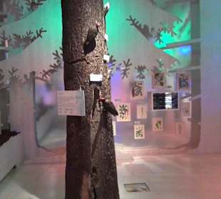 Nationalparkzentrum Haus der Berge