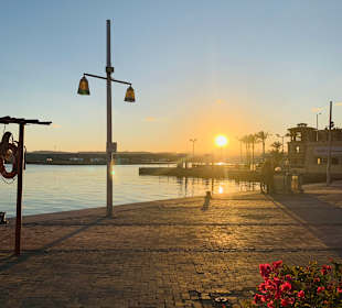 Yachthafen Port Ghalib