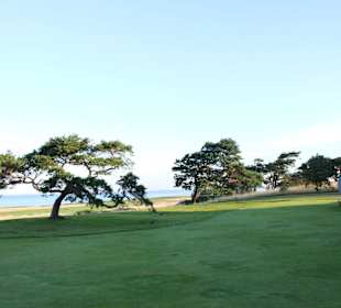 Blick auf den Öressund