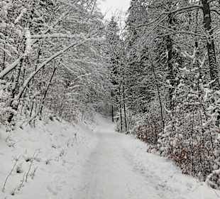 Wandern Läufelfingen