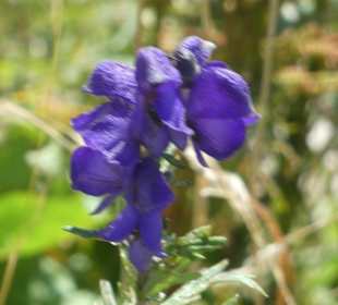 Schöne Wanderungen bei Oberstdorf