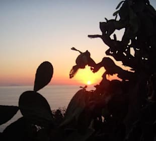 Capo Vaticano