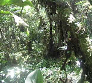 "La Chica" Bergwandertour