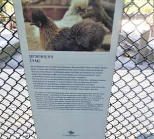 Voliére auf der Pfaueninsel