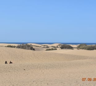 Dünen von Maspalomas