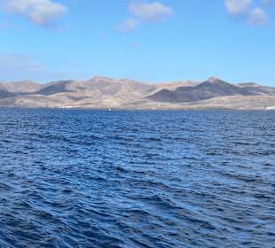 Katamaranausflug mit der Blue Delfin