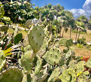 Ruinen von Tulum