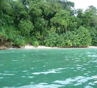 Videodreh Bacardi Feeling