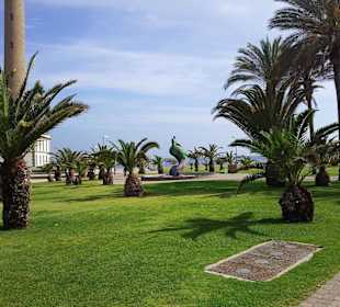 Hotelumgebung Hotel RIU Grand Palace Maspalomas Oasis