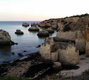 Leider zu viele Algen