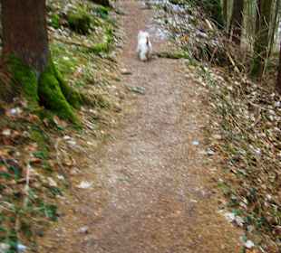 Wanderweg nach Pottenstein