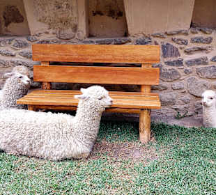 Inka Stätte Ollantaytambo