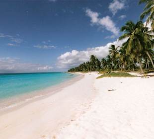 Isla Saona