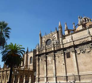 Katedra w Sevilli
