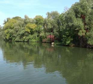 Naherholungsanlage Aileswasensee 